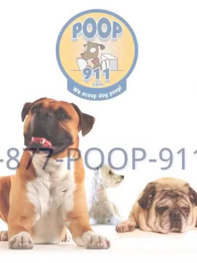 POOP 911 Westchester - ,