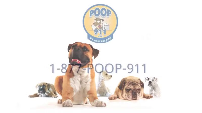 POOP 911 Westchester - ,