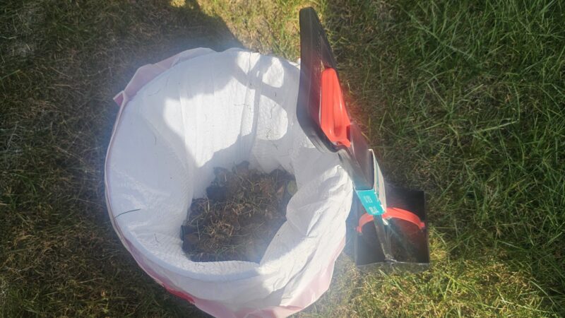 Poos the Boss Algonquin Dog Waste Removal Service - ,