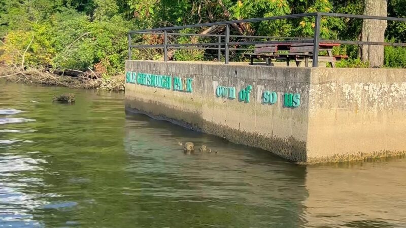 Sleightsburgh Park - Port Ewen, NY