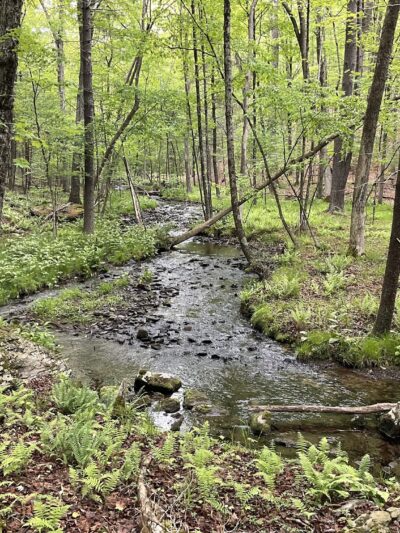 Port Jervis Watershed Park and Recreation Area - Port Jervis, NY