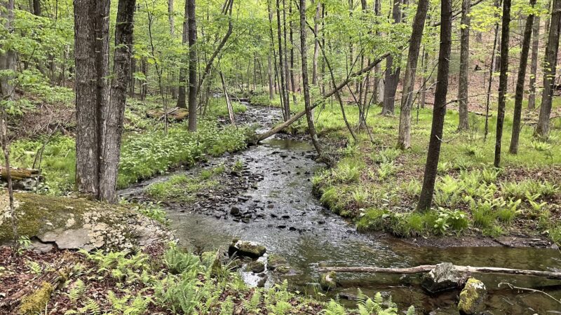 Port Jervis Watershed Park and Recreation Area - Port Jervis, NY