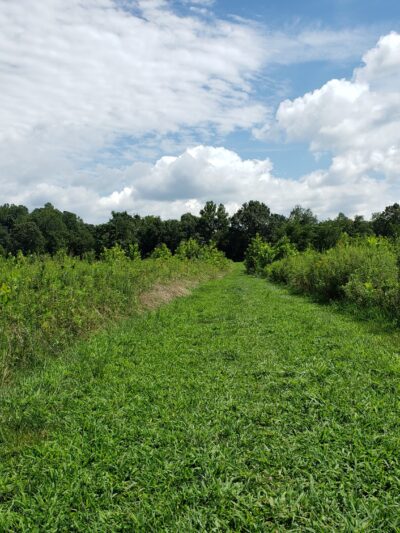 Port Tobacco River Park - Port Tobacco, MD