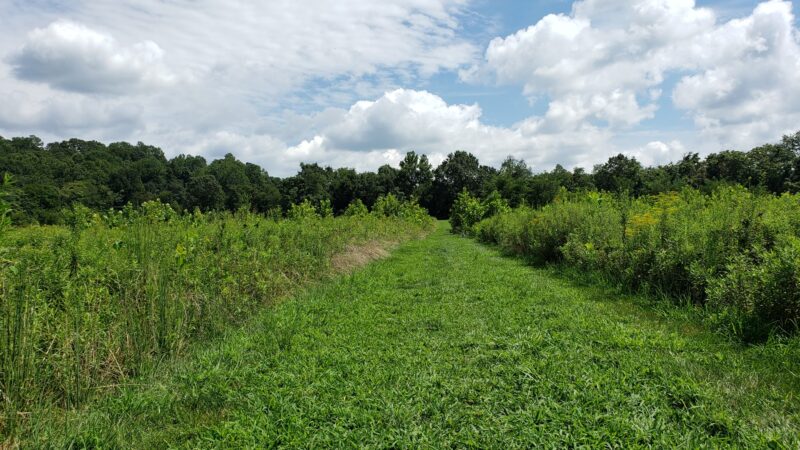 Port Tobacco River Park - Port Tobacco, MD