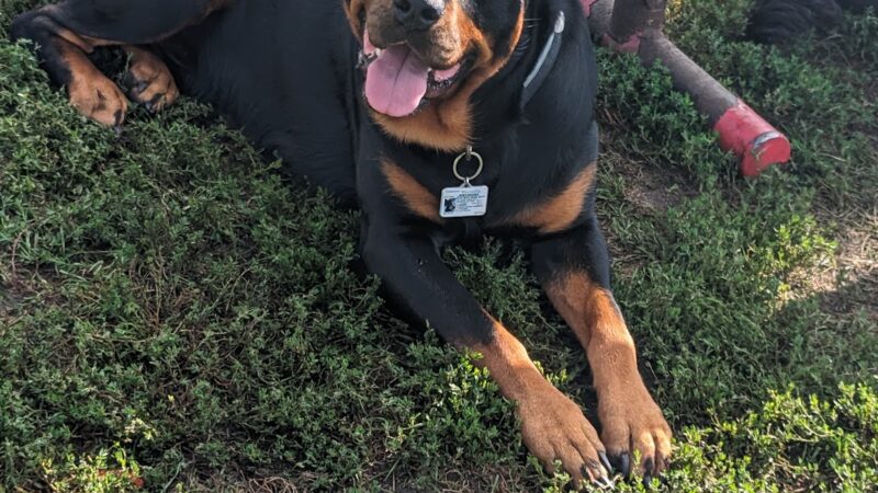 Fritz Port Dog Park - Portage, WI