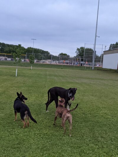Fritz Port Dog Park - Portage, WI