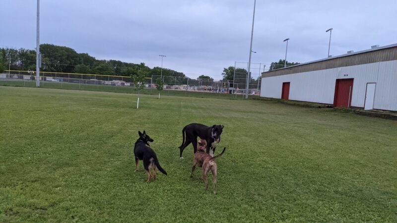 Fritz Port Dog Park - Portage, WI