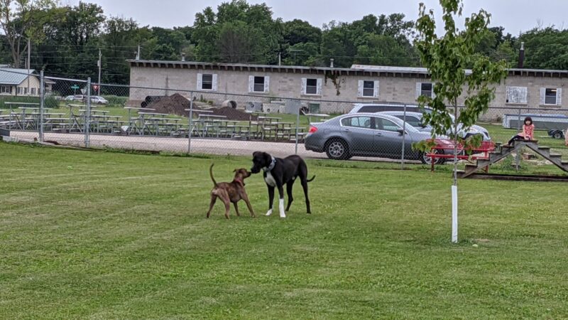 Fritz Port Dog Park - Portage, WI