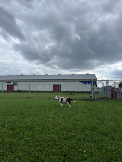 Fritz Port Dog Park - Portage, WI