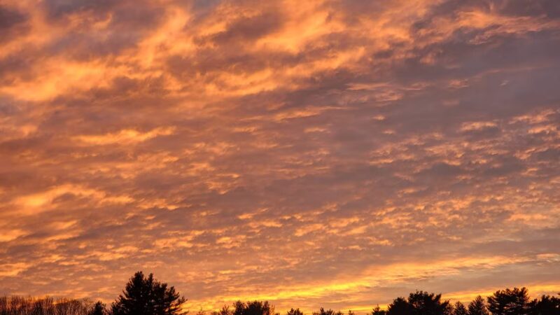 Presumpscot Park - Portland, ME