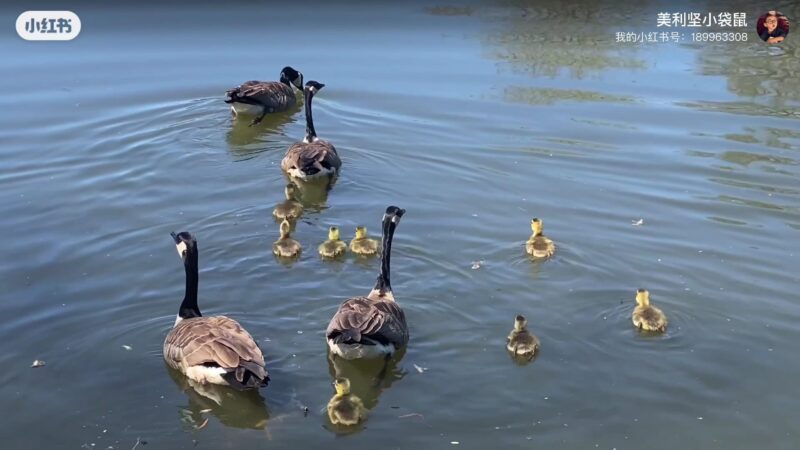 Commonwealth Lake Park - Portland, OR