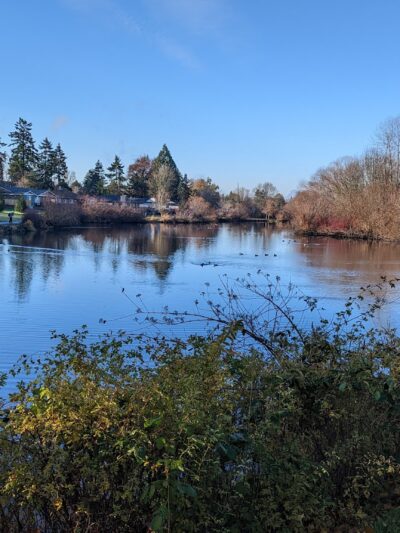Commonwealth Lake Park - Portland, OR