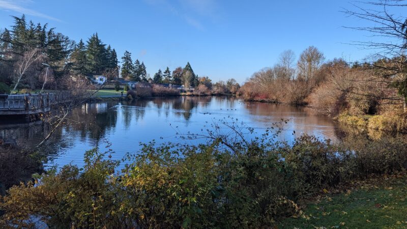 Commonwealth Lake Park - Portland, OR