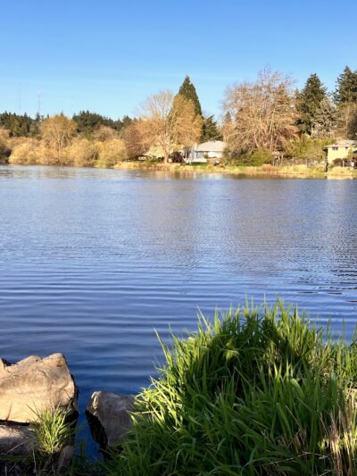 Commonwealth Lake Park - Portland, OR