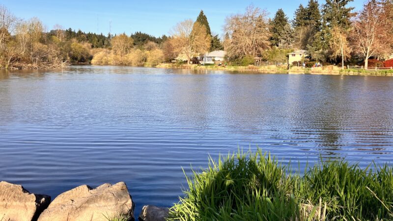 Commonwealth Lake Park - Portland, OR