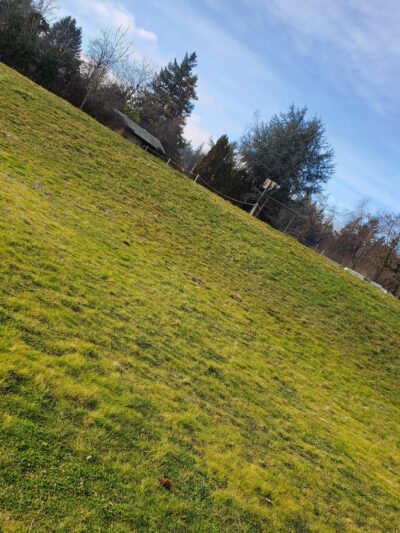 Glenfair Park - Portland, OR