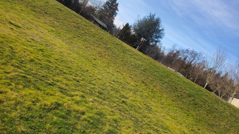 Glenfair Park - Portland, OR