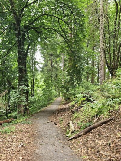 Stearns Canyon Trails / Cloud Forest Walk - Portland, OR
