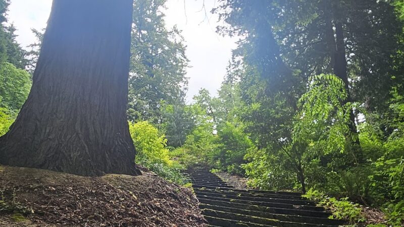 Stearns Canyon Trails / Cloud Forest Walk - Portland, OR