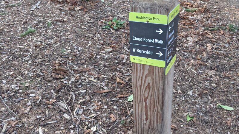 Stearns Canyon Trails / Cloud Forest Walk - Portland, OR