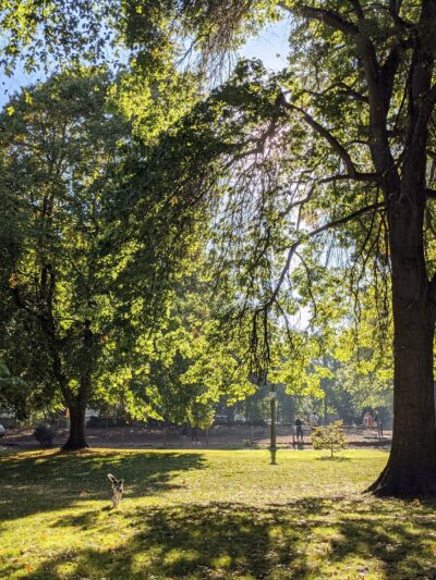 Wallace Park - Portland, OR