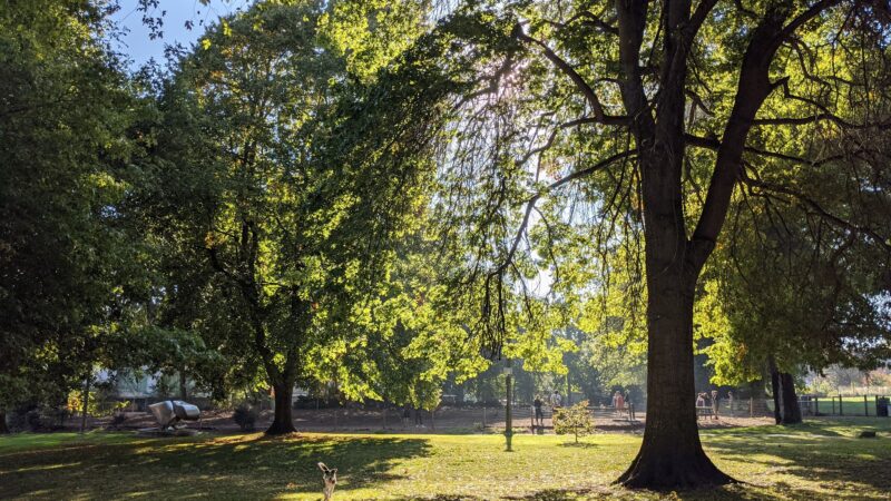 Wallace Park - Portland, OR