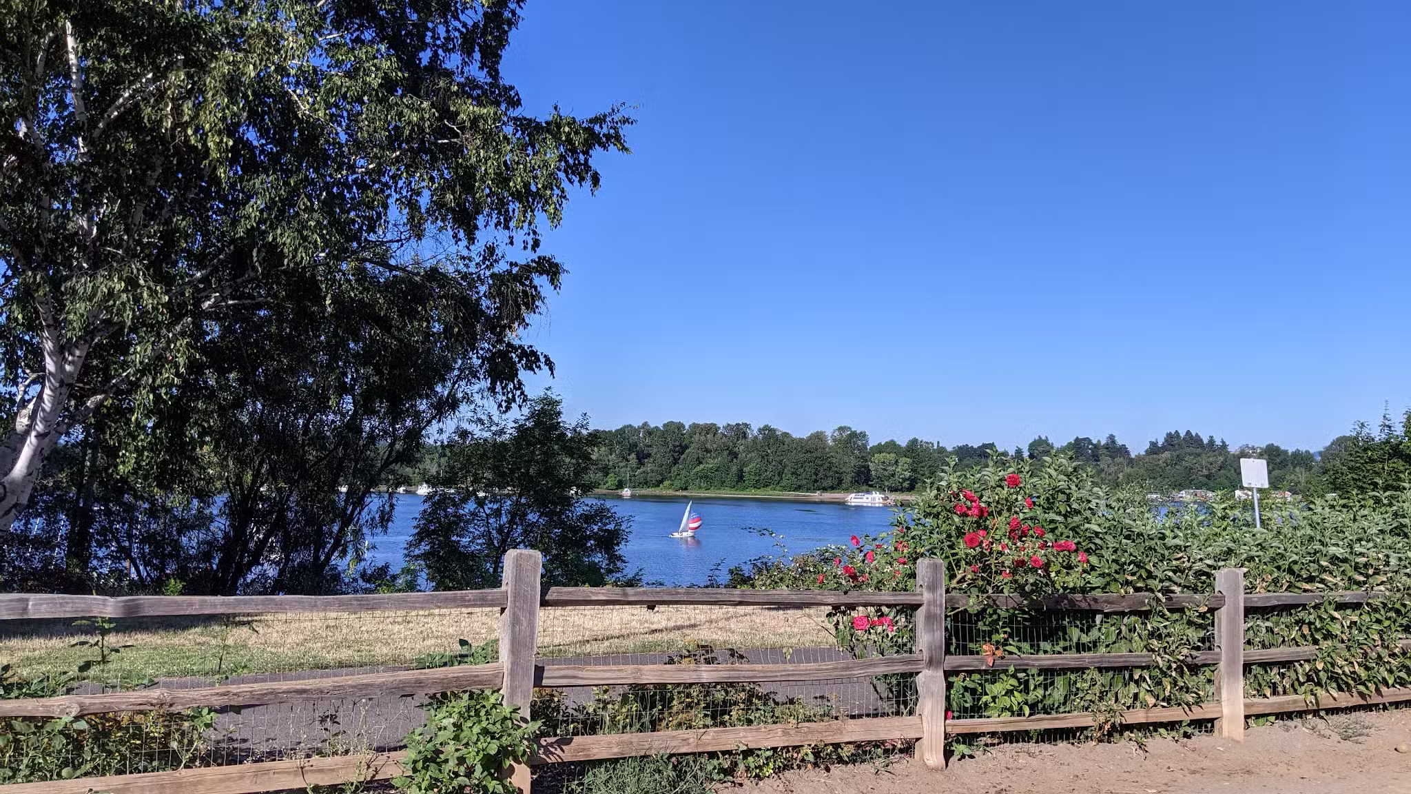 Willamette Park Off-Leash Dog Area - Portland, OR