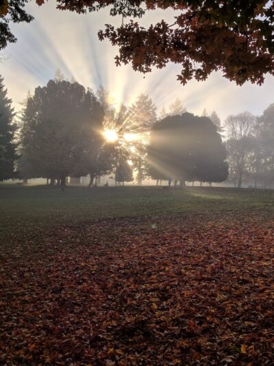 Woodstock Park - Portland, OR