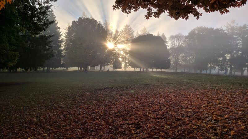 Woodstock Park - Portland, OR