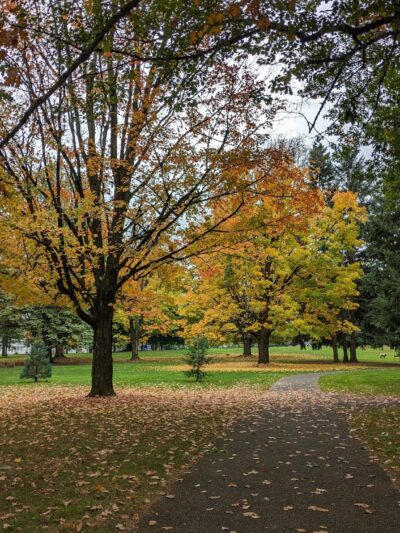 Woodstock Park - Portland, OR