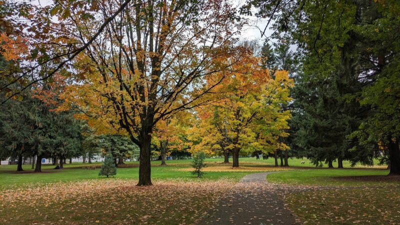 Woodstock Park - Portland, OR