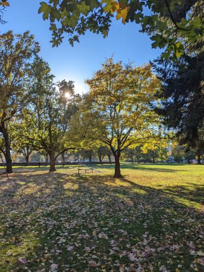 Berrydale Park - Portland, OR