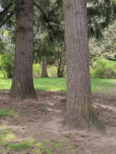 Cherry Park - Portland, OR