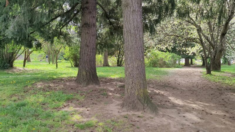 Cherry Park - Portland, OR