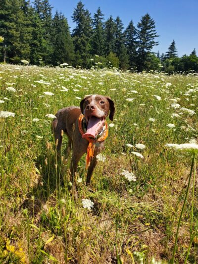 Cherry Park - Portland, OR