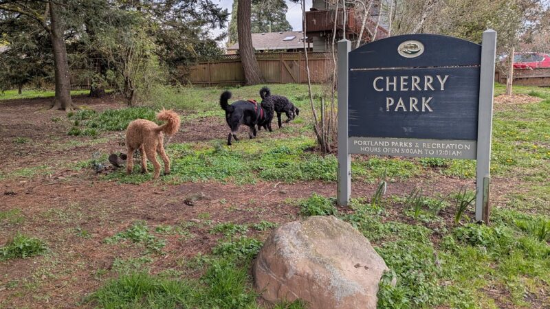 Cherry Park - Portland, OR