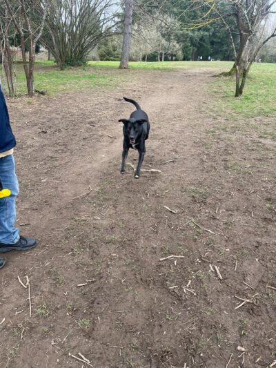 Cherry Park - Portland, OR