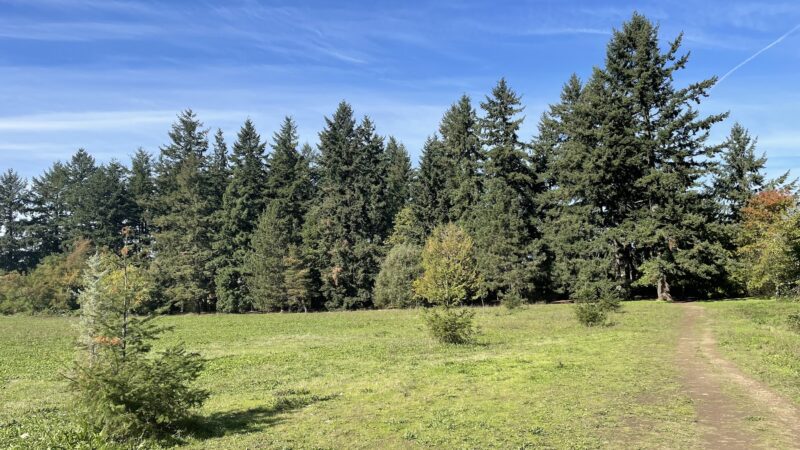 Cherry Park - Portland, OR
