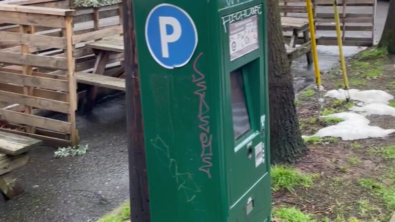 Cycle Dog - Earth Friendly Pet Company Tavern And Dog Park - Portland, OR