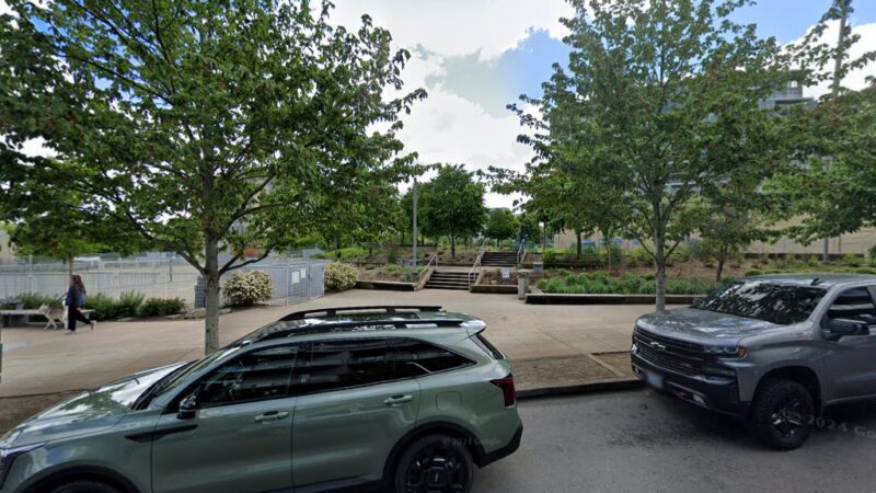 Dogs must be leashed - Portland, OR