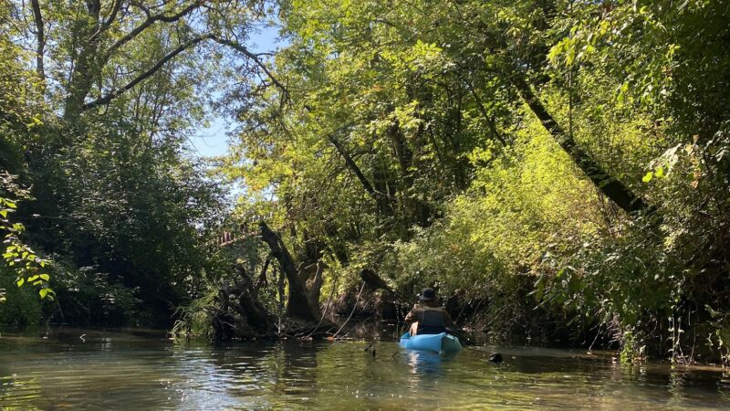 Durham City Park - Portland, OR