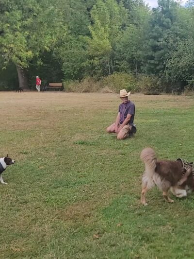 Durham Park Off Leash area - Portland, OR