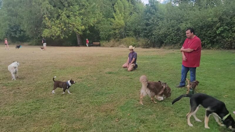 Durham Park Off Leash area - Portland, OR