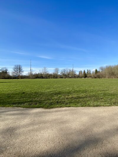 Durham Park Off Leash area - Portland, OR