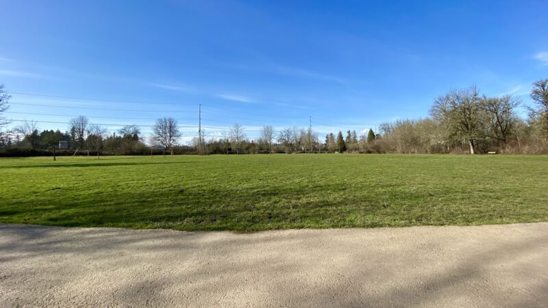 Durham Park Off Leash area - Portland, OR