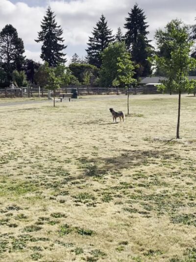 East Holladay Park - Portland, OR