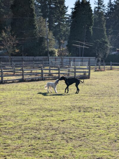 East Holladay Park - Portland, OR