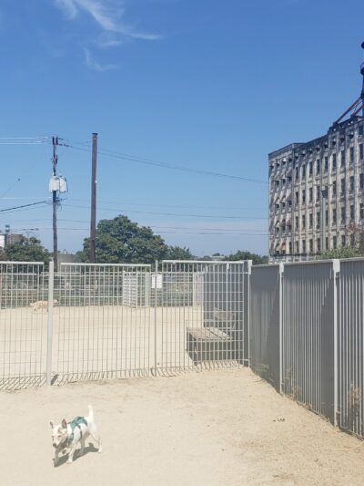 Fenced Off-Leash Dog Area - Portland, OR