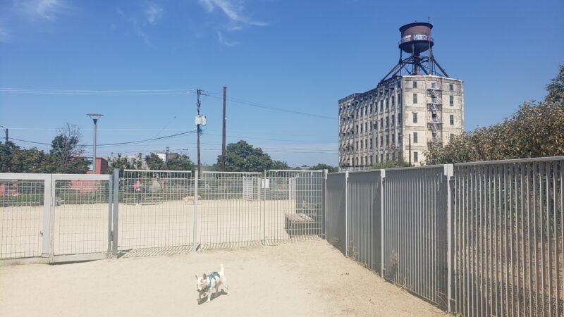 Fenced Off-Leash Dog Area - Portland, OR