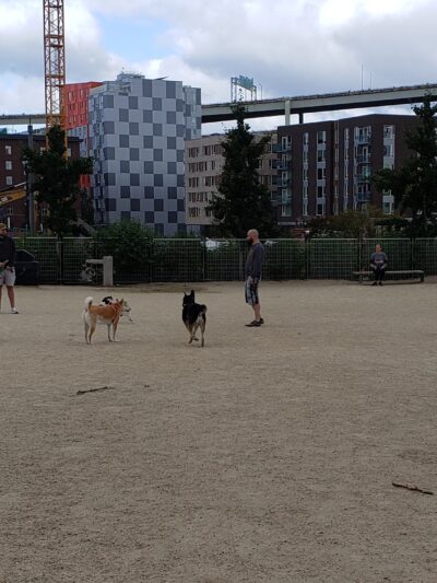 Fenced Off-Leash Dog Area - Portland, OR
